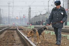 Подрыв поезда в Дагестане признан терактом
